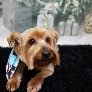 Meet your Posher, Anna